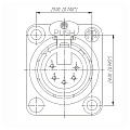 Neutrik NC5FD-L-B-1 панельный разъем XLR female 5 контактов