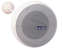 PROAUDIO BS-10 Подвесной громкоговоритель, 70-100 В, 6/10 Вт, диаметр 180 мм, чувствительность 94 дБ, цвет белый