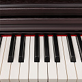 ROCKDALE Etude 64 Rosewood (RDP-5088) цифровое пианино, 88 клавиш, цвет розовое дерево (Палисандр)