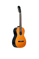 GEWApure Classical Guitar Basic Plus Natural 4/4 Классическая гитара