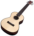 CORDOBA 21C Concert укулеле концерт, корпус эбони, верхняя дека массив ели