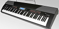 MEDELI SP4200+stand цифровое фортепиано, 88 клавиш, стойка с педалями в комплекте
