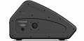 Turbosound TFM122M пассивный сценический монитор