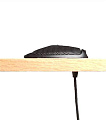 SHURE MX392BE/O плоский (поверхностный) конденсаторный всенаправленнный микрофон, черный, крепление провода сквозь стол