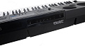 CASIO WK-6600  синтезатор с автоаккомпанементом, 76 клавиш, 48-голосная полифония, 700 тембров, 210 стилей