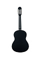 GEWApure Classical Guitar Basic Honey  Walnut 4/4 Классическая гитара, цвет натуральный