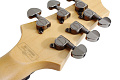 Schecter SGR 006 MSBK Гитара электрическая, 6 струн, корпус липа, гриф клен, лады 22 Medium, мензура