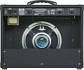 Peavey Envoy 110 гитарный комбоусилитель