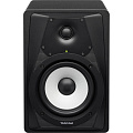 Tascam VL-S5  активный студийный монитор, динамик 5'