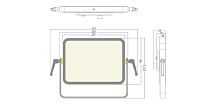 SILVER STAR SS5521SC Y-PLANO 500 Светодиодный театрально-студийный светильник  SOFTLIGHT,  "заливная панель", CRI>98, TICL>98, R9>98, сила света 2044 кд, 198 х 0,5 Вт LED, ССТ 5000К потребляемая мощность 50 Вт max