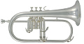 ROY BENSON FH-302S Bb Флюгельгорн (цвет серебро)
