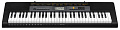 Casio CTK-2500   синтезатор с автоаккомпанементом, 61 клавиша, 48-голосная полифония, 400 тембров