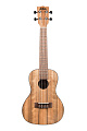 KALA KA-PWC Kala Pacific Walnut Concert Ukulele укулеле-концерт, цвет натуральный