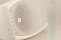 CVGaudio ODF416TW Настенная двухполосная акустическая система, цвет белый