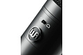 WARM AUDIO WA-8000 студийный ламповый микрофон с широкой мембраной