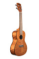 KALA KA-CEM Kala Concert Exotic Mahogany Ukulele укулеле-концерт, цвет янтарный