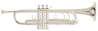 ROY BENSON TR-402S Bb Труба (цвет серебро)