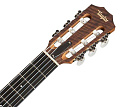 TAYLOR Academy 12-N Academy Series, Layered Sapele, Sitka Spruce Top, Nylon String Grand Concert гитара акустическая
