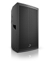 FANE SV15 Акустическая система, 1x15", 650 Вт, 8 Ом