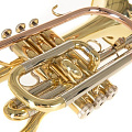 ROY BENSON CR-202 корнет, в комплекте мундштук и легкий футляр