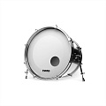 EVANS BD24RGCW  Пластик 24"