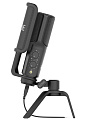 RODE NT-USB  Универсальный USB конденсаторный микрофон, совместим с PC, Mac, iPad и Android планшетами. Pop фильтр, настольная подставка, 6m USB кабель
