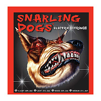 D'Andrea SDN11 Струны для электрогитары, серия Snarling Dogs, калибр: 11 - 14 - 18 - 28 - 38 - 49, обмотка никель, натяжение среднее