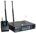 Direct Power Technology DP-200 HEAD радиосистема с головным микрофоном 