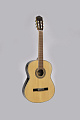 Sevillia DS-130 SNT Гитара классическая 