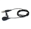 SAMSON QL5 CL петличный конденсаторный микрофон с адаптером SAMSON PM6 mini xlr-XLR 3 pin и ветрозащитой