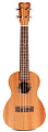 CORDOBA PROTEGE U1 Ukulele, укулеле концертная, корпус махагони, обработка матовая