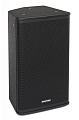 SAMSON RSX112 пассивная акустическая система 