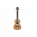 PEAVEY Ukulele Student Укулеле 