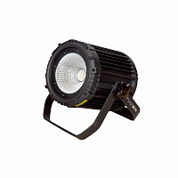 Involight COBPAR100TW  Всепогодный LED прожектор