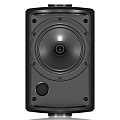 Tannoy AMS 5DC BK настенная акустическая система, цвет черный