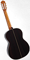 TAKAMINE CLASSIC SERIES H8SS классическая акустическая гитара, цвет натуральный, струны нейлон