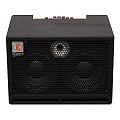 EDEN TN2252 басовый комбоусилитель серии TerraNova, 225 Вт, 2x10"
