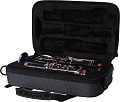 GATOR GL-CLARINET-A  нейлоновый кейс для кларнета, чёрный, вес 1 кг.
