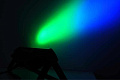 Ross Mini Tri Led Bar 8x3W Панель светодиодная RGB 8*3Вт