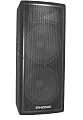 Phonic aSK215 Акустическая система пассивная