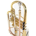 ROY BENSON CR-202 корнет, в комплекте мундштук и легкий футляр