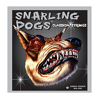 D'Andrea SDNYB  Нейлоновые струны для классической гитары, серия Snarling Dogs, калибр: 28 - 32 - 40 - 29 - 35 - 43, обмотка серебро, натяжение среднее