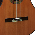 PEREZ 670 Cedar Классическая гитара 4/4