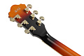 IBANEZ AG75G-BS полуакустическая электрогитара, корпус липа, цвет санберст
