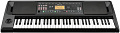 KORG EK-50 синтезатор с автоаккомпанементом, 61 клавиша, полифония 64 голоса, подставка для нот
