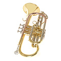 ROY BENSON CR-202 корнет, в комплекте мундштук и легкий футляр