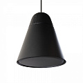 Biamp P60DT-BL Двухполосный подвесной громкоговоритель, 6.5", цвет черный