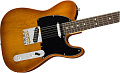FENDER AMERICAN PERFORMER TELECASTER®, RW, HONEY BURST электрогитара, цвет медовый бёрст, в комплекте чехол