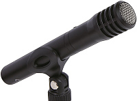 Tascam TM-60  Микрофон инструментальный конденсаторный кардиоидный