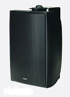 Tannoy DVS 8 пассивная 2-полосная всепогодная акустическая система